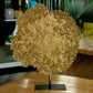Gold Leaf Design Group Coral Sculpture Gold | Sculptures | Modishstore-3