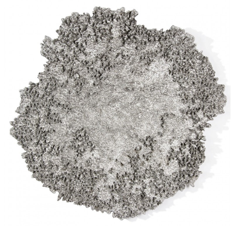 Coral Wall Art by Gold Leaf Design Group | Wall Decor | Modishstore - 9