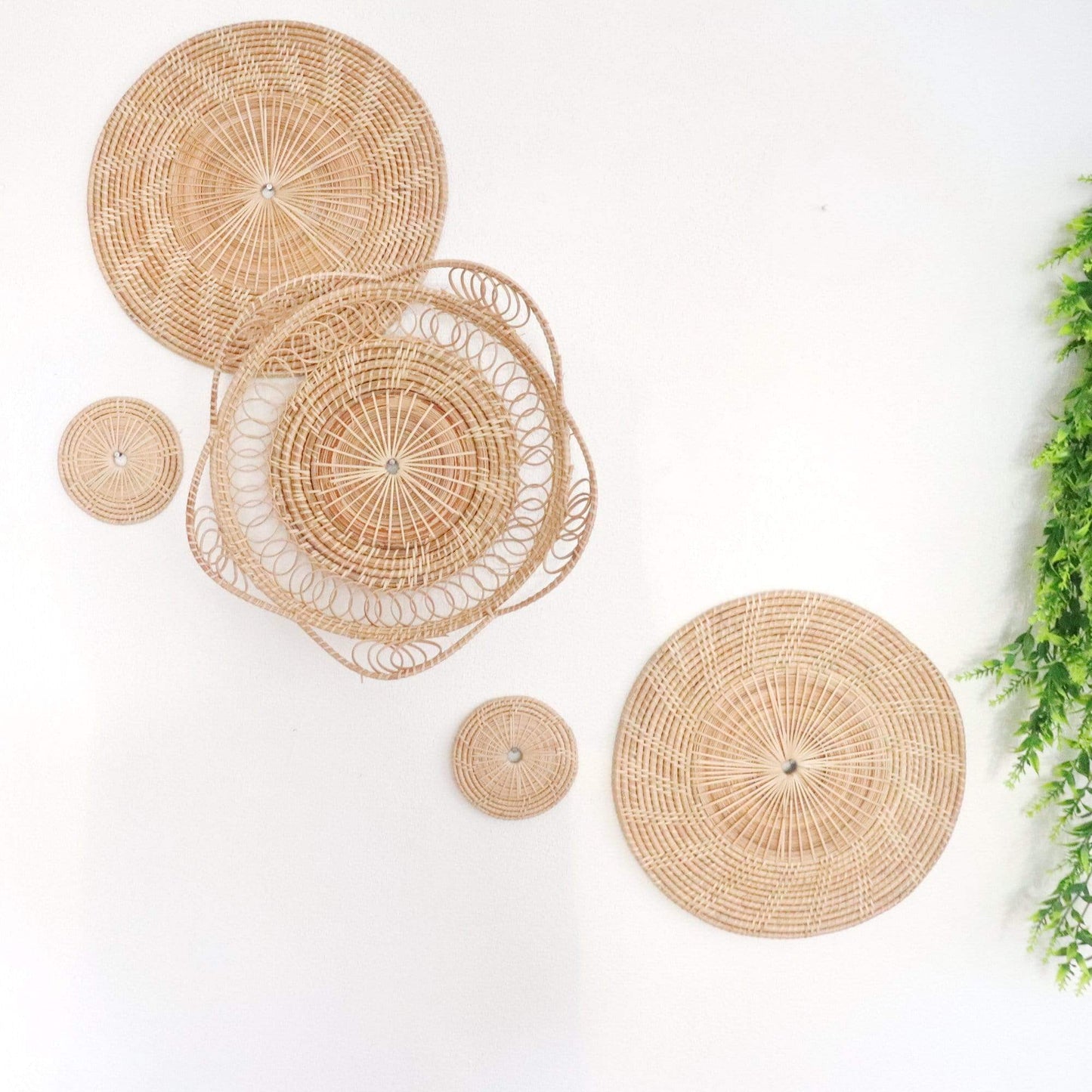 Sarang - Rattan Wall Decor - Handcrafted Natural Rattan (Set Of 5) By Thaihome | Wall Decor | Modishstore - 4