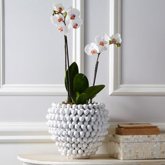 White Ceramic Pompom Vase/Planter, Set of 2