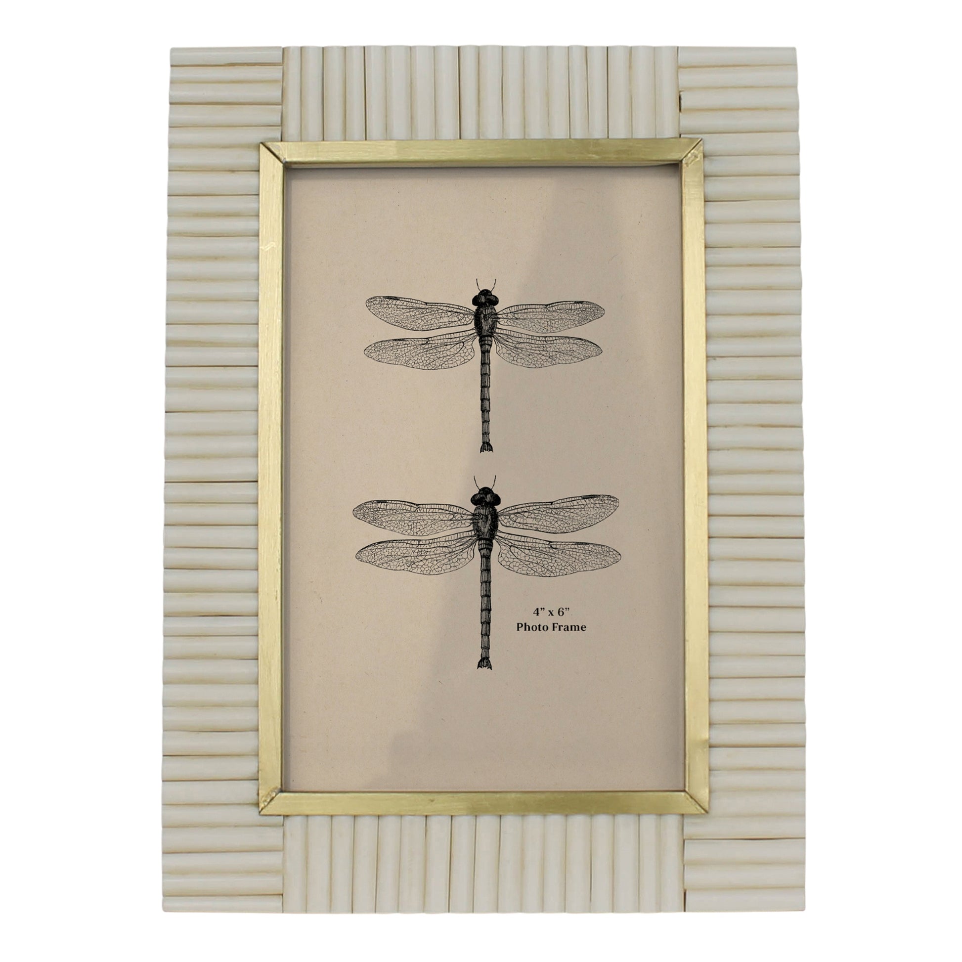 Picture Frame, Resin & Brass - 4x6 Set Of 4 By HomArt | Frames | Modishstore - 2