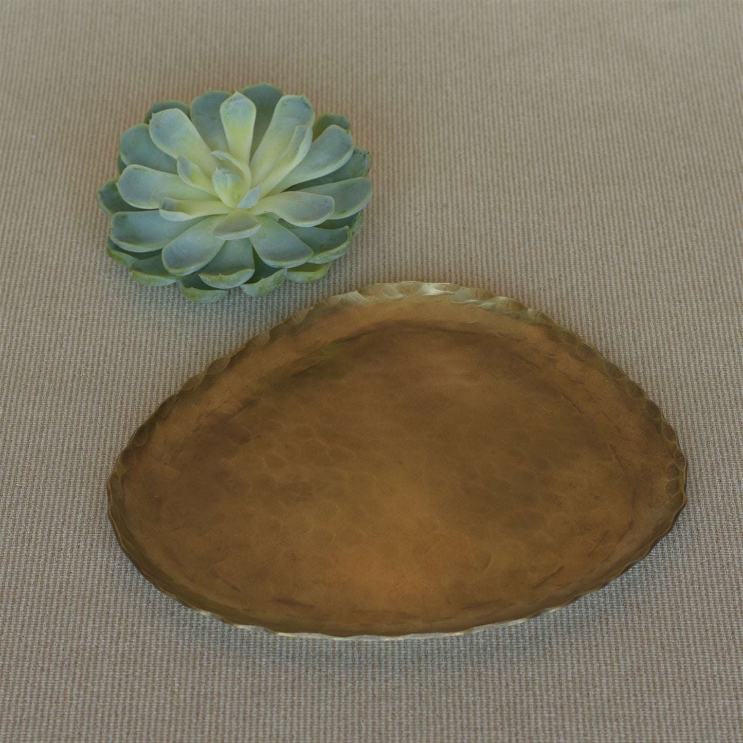 Fika Organic Plate, Brass - Large Set Of 4 By HomArt | Kitchen Accessories | Modishstore - 3