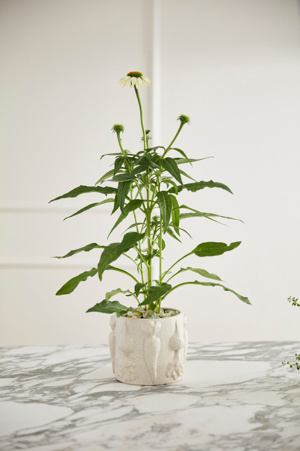 Veggie Collection Set of 8 By Accent Decor | Stands | Modishstore - 10