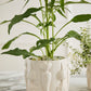 Veggie Collection Set of 8 By Accent Decor | Stands | Modishstore - 12