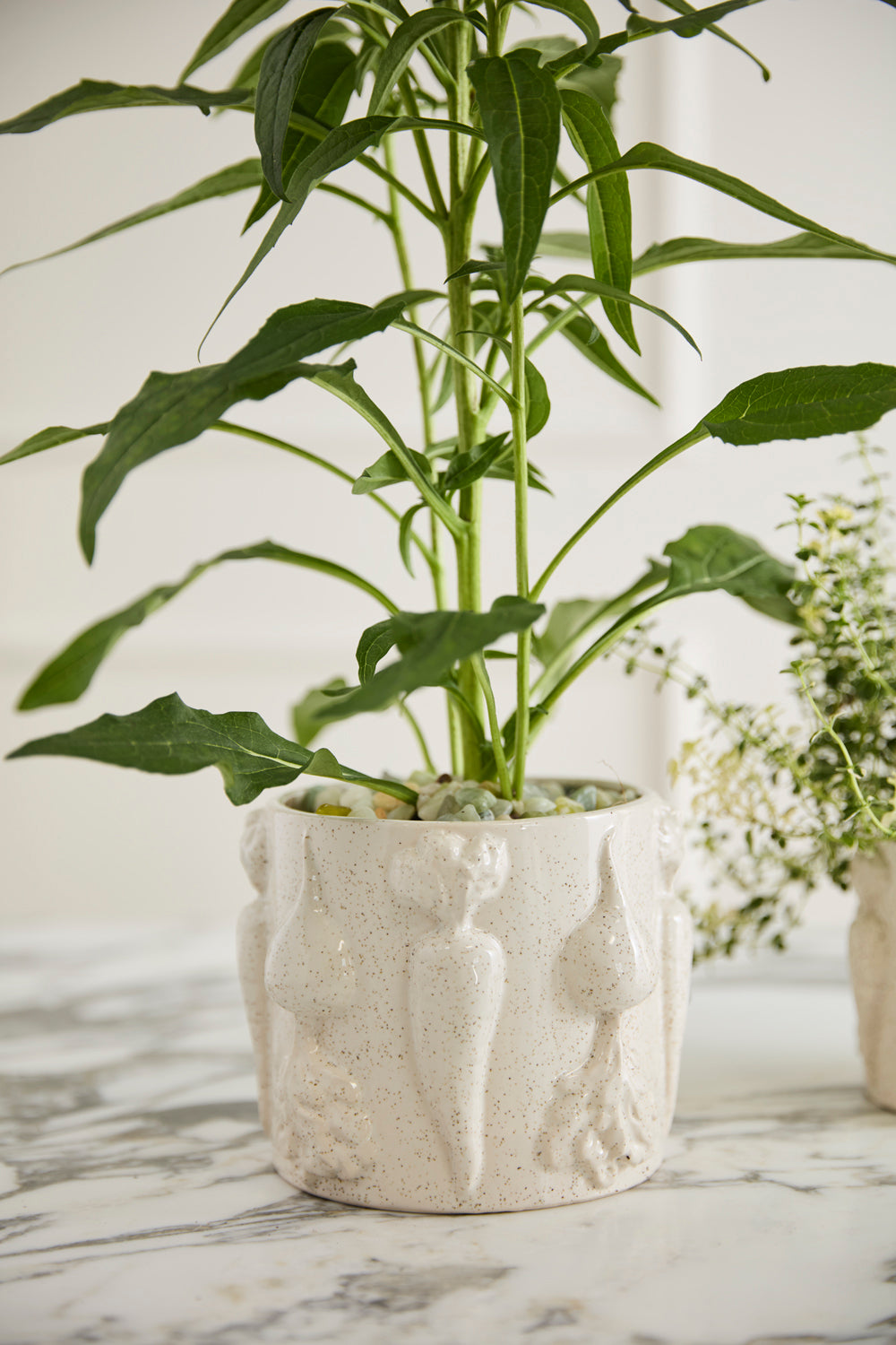 Veggie Collection Set of 8 By Accent Decor | Stands | Modishstore - 12