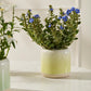 Skyway Pot Set of 8 By Accent DŽcor