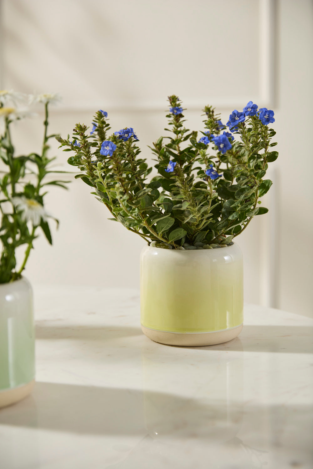 Skyway Pot Set of 8 By Accent DŽcor
