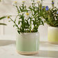 Skyway Pot Set of 8 By Accent DŽcor