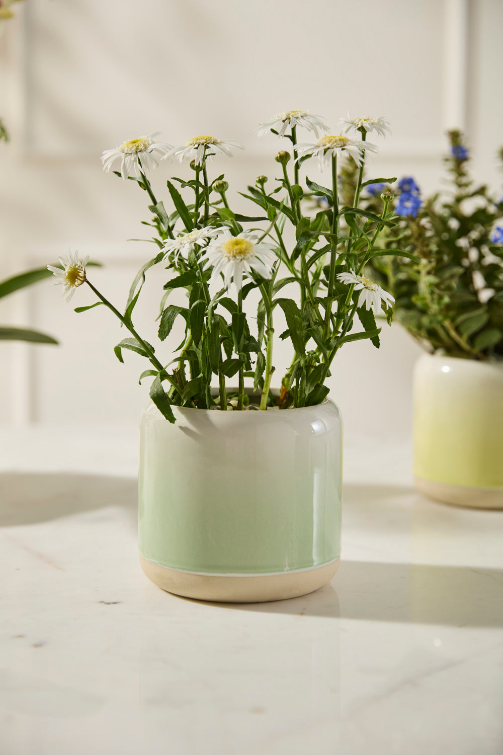 Skyway Pot Set of 8 By Accent DŽcor