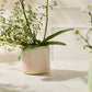 Skyway Pot Set of 8 By Accent DŽcor