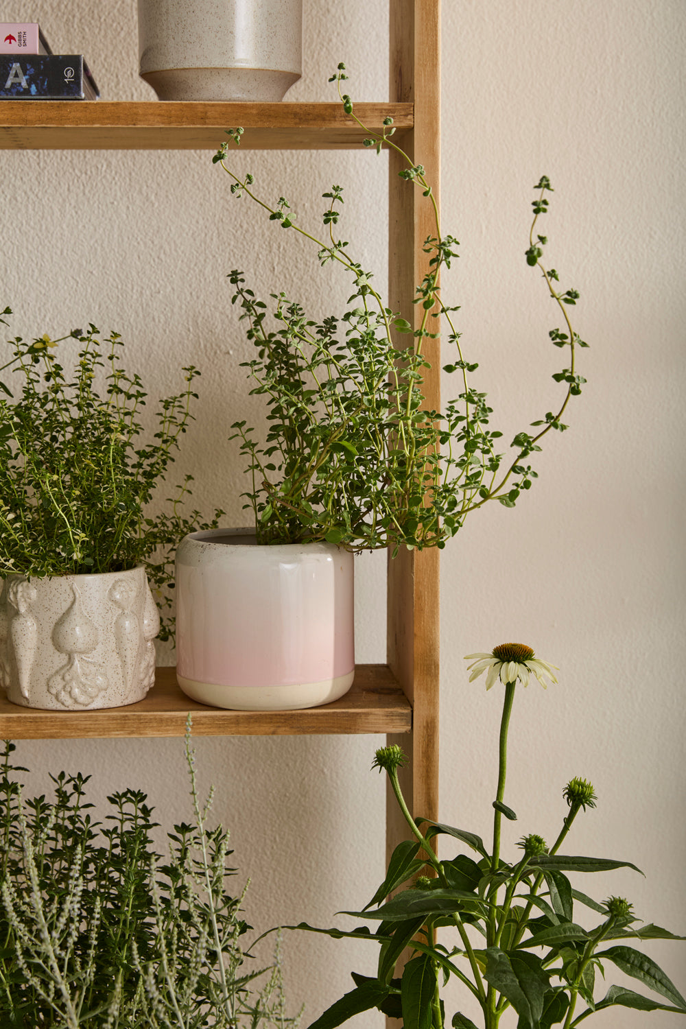 Skyway Pot Set of 8 By Accent DŽcor