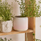 Skyway Pot Set of 8 By Accent DŽcor