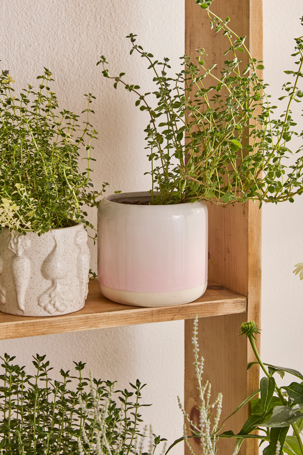 Skyway Pot Set of 8 By Accent DŽcor