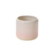 Skyway Pot Set of 8 By Accent DŽcor