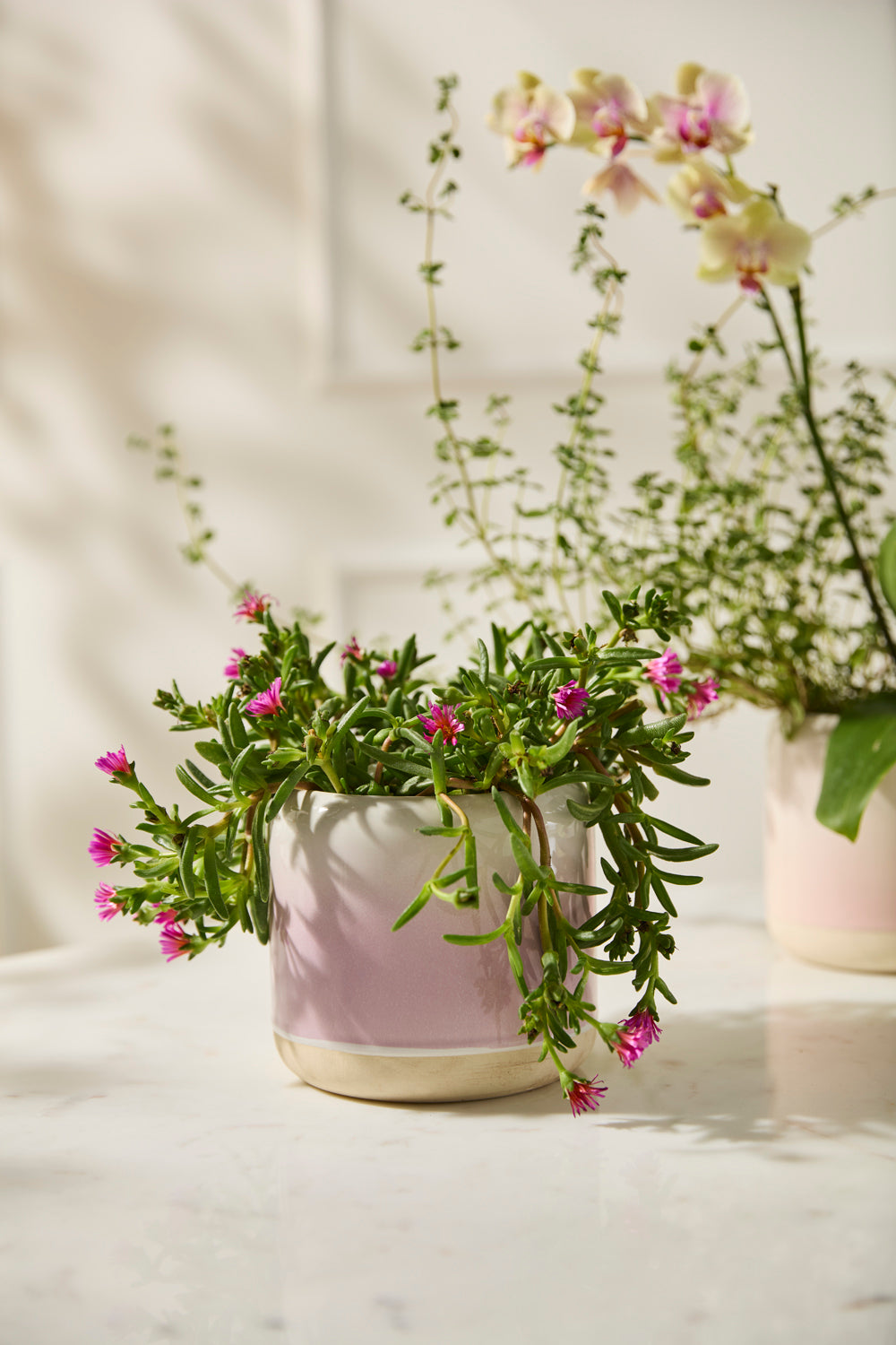 Skyway Pot Set of 8 By Accent DŽcor