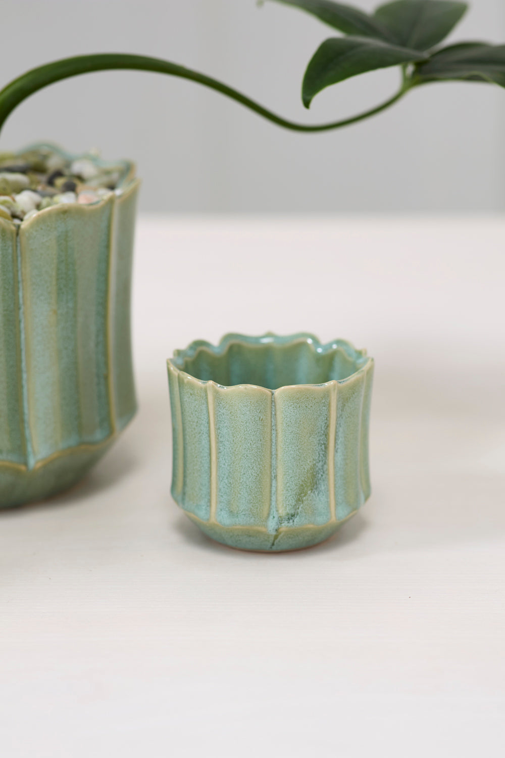 Everleaf Pot Set of 8 By Accent Decor | Planters, Troughs & Cachepots | Modishstore - 4
