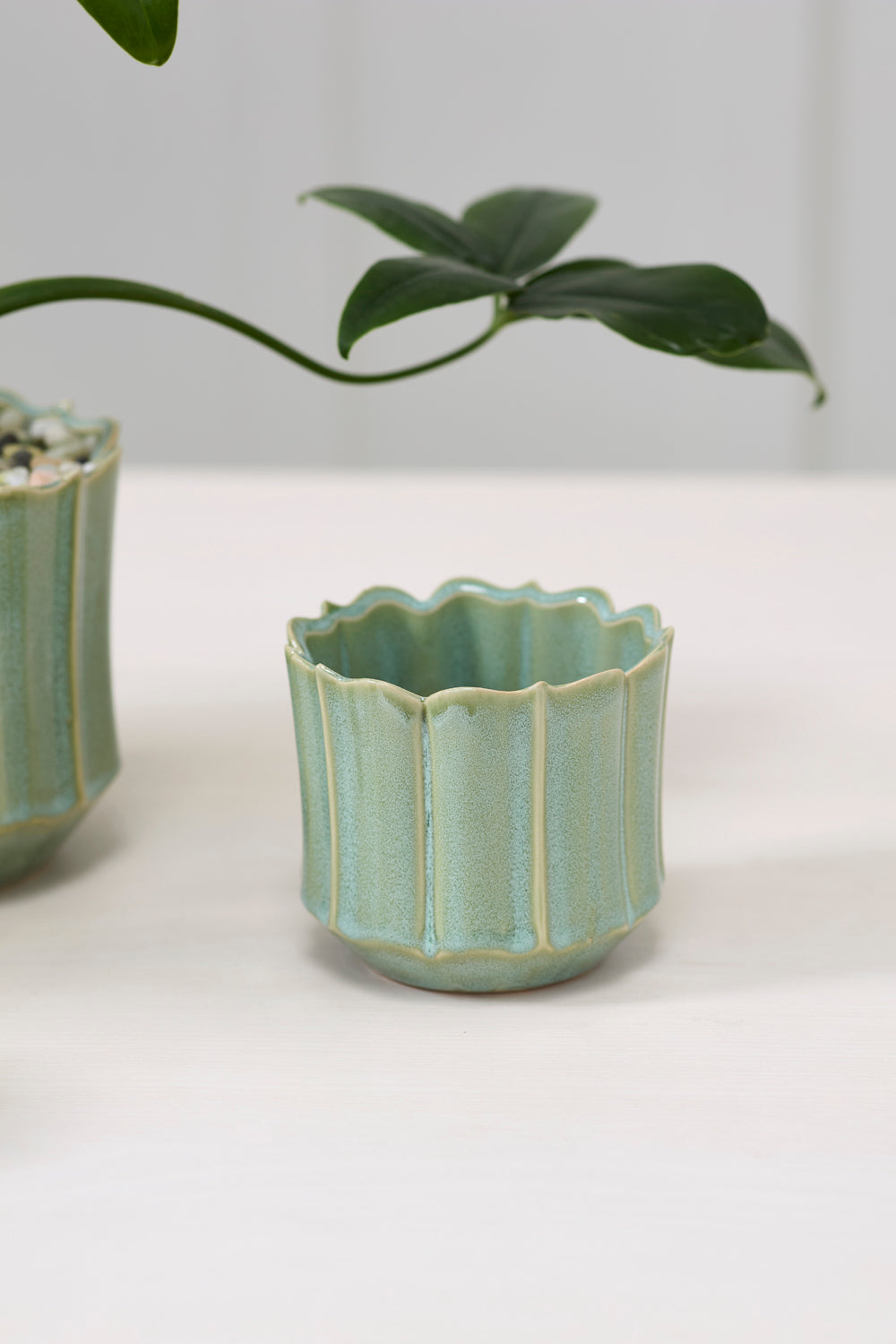 Everleaf Pot Set of 8 By Accent Decor | Planters, Troughs & Cachepots | Modishstore - 6