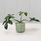 Everleaf Pot Set of 8 By Accent Decor | Planters, Troughs & Cachepots | Modishstore - 8