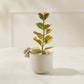 Sneaky Bunny Pot Set of 8 By Accent Decor | Stands | Modishstore - 4