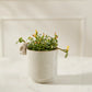 Sneaky Bunny Pot Set of 8 By Accent Decor | Stands | Modishstore - 6