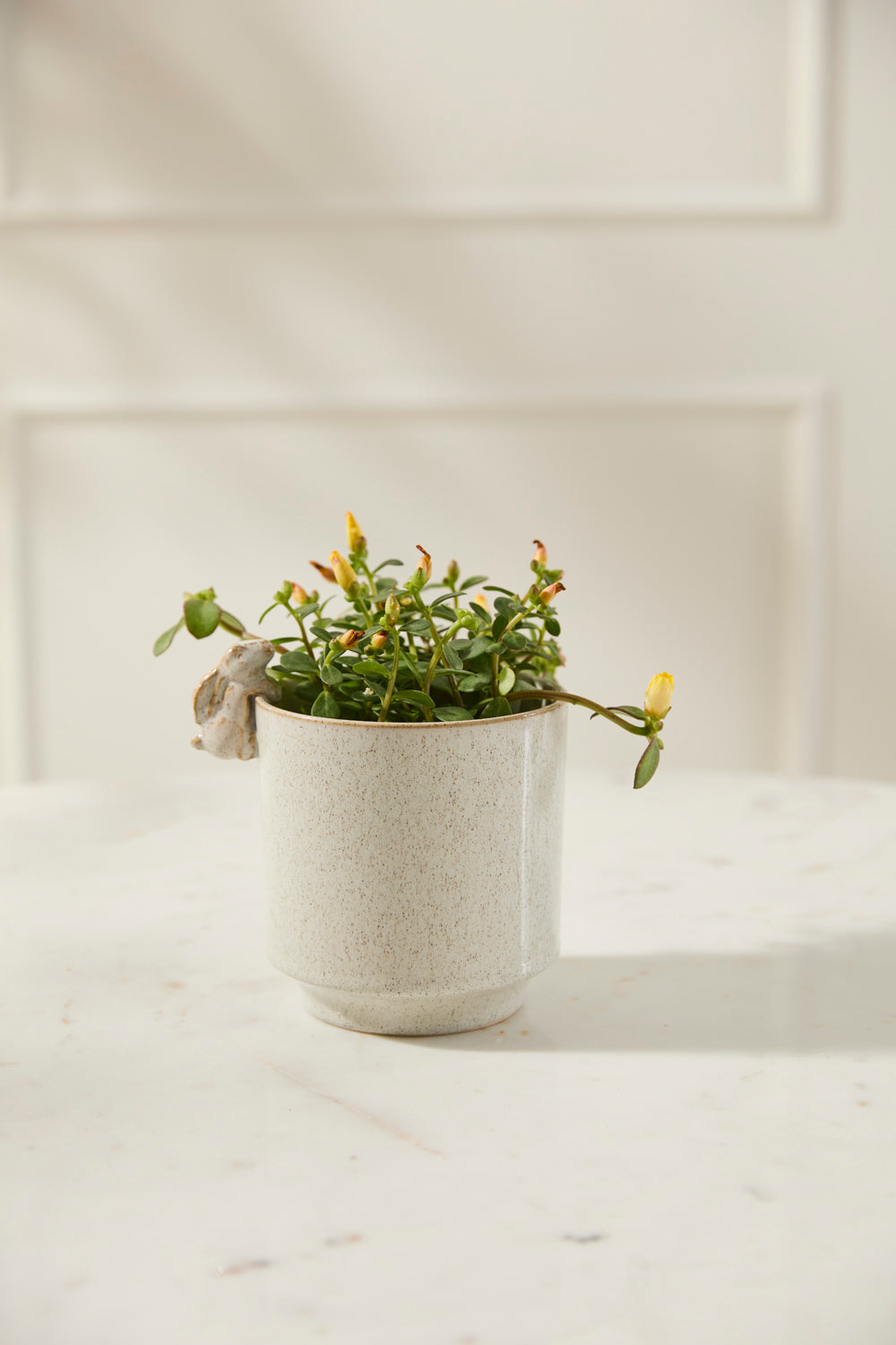 Sneaky Bunny Pot Set of 8 By Accent Decor | Stands | Modishstore - 6