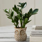 Great Grey Owl Pot Set of 4 By Accent Decor | Planters, Troughs & Cachepots | Modishstore - 4
