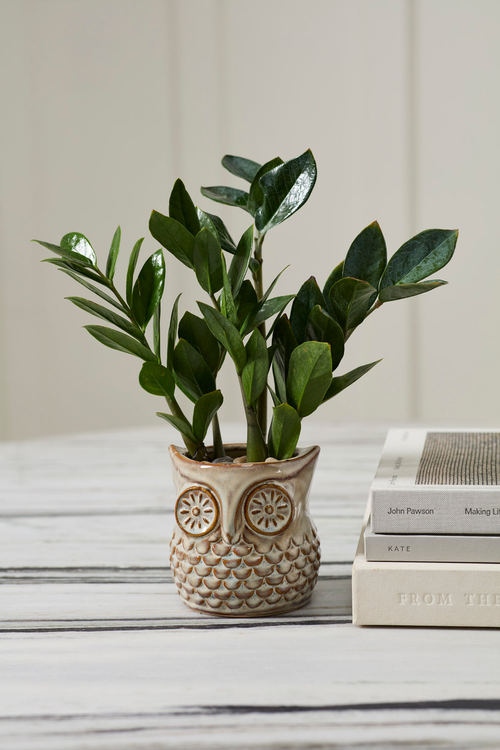 Great Grey Owl Pot Set of 4 By Accent Decor | Planters, Troughs & Cachepots | Modishstore - 4