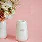 Dear Mom Collection Set of 4 By Accent DŽcor
