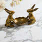 Best Bunnies Dish Stand Set of 2 By Accent Decor | Planters, Troughs & Cachepots | Modishstore - 6