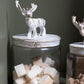 Renton Canister Set of 2 By Accent Decor | Jars & Canisters | Modishstore - 5