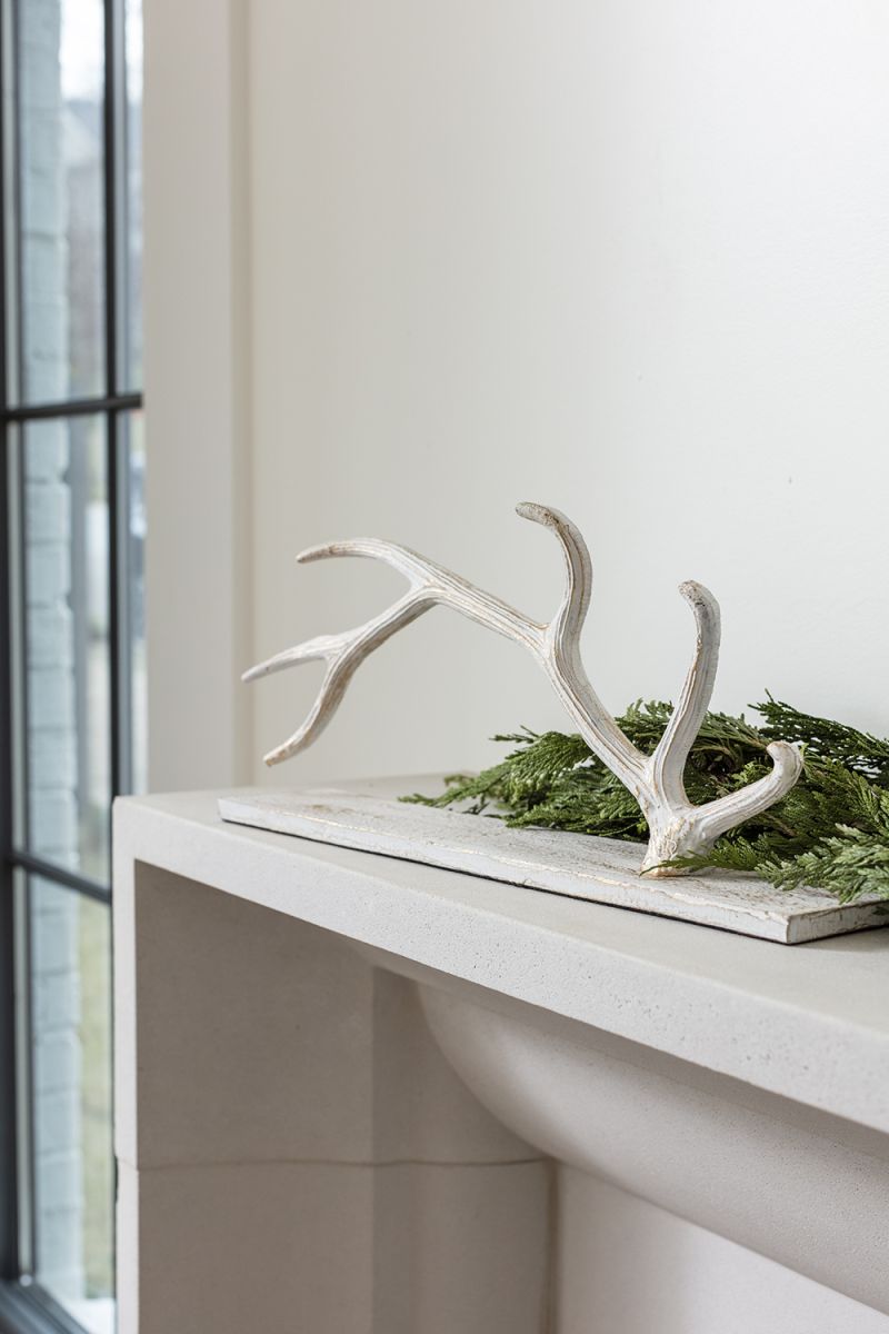 Rowell Antler 19.25" x  3.25" x  7" By Accent Decor| Display Cases | Modishstore - 4