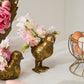 Spring Roost Collection Set of 4 By Accent Decor | Stands | Modishstore - 12