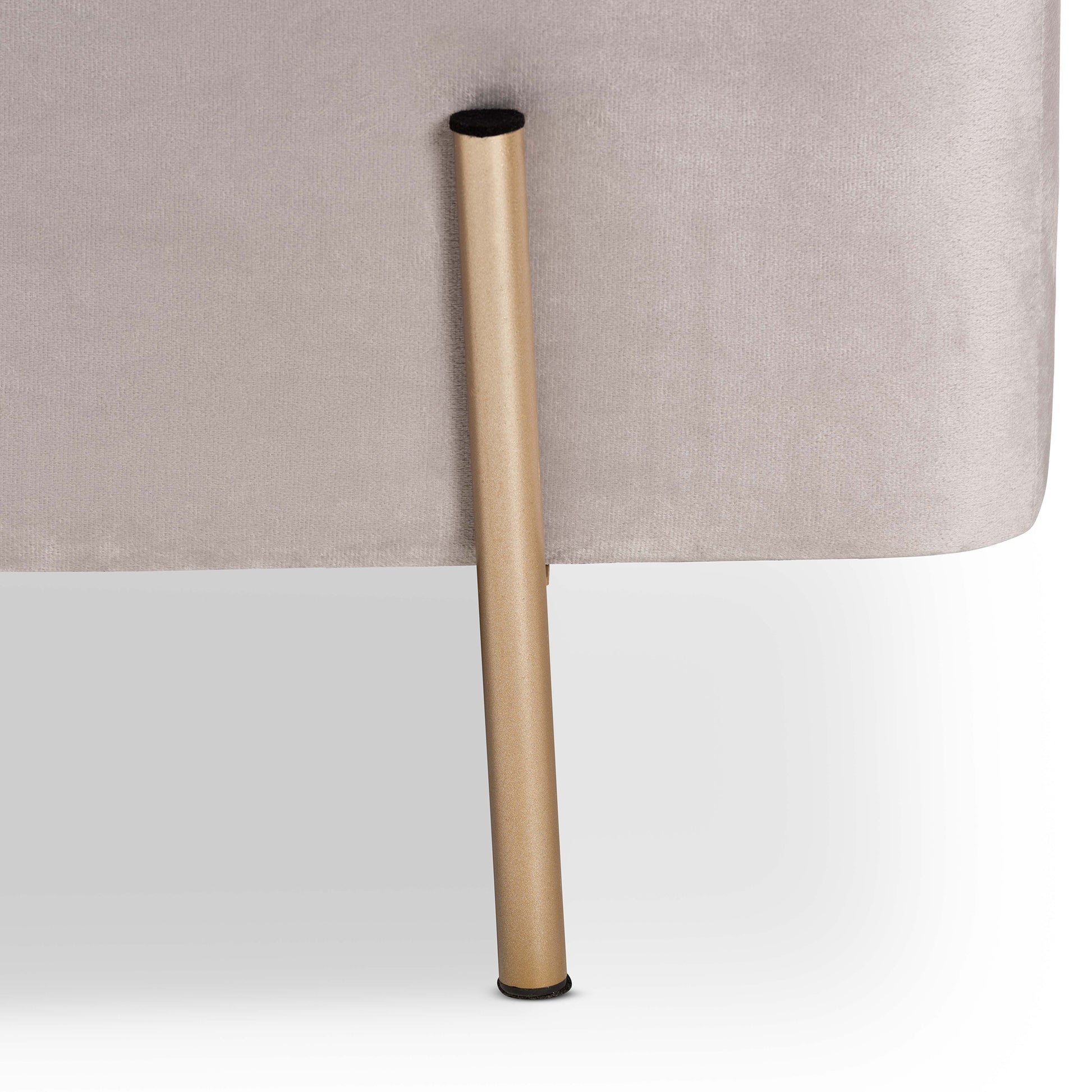 Baxton Studio Rockwell Contemporary Glam and Luxe Grey Velvet Fabric Upholstered and Gold Finished Metal Storage Bench | Benches | Modishstore - 7