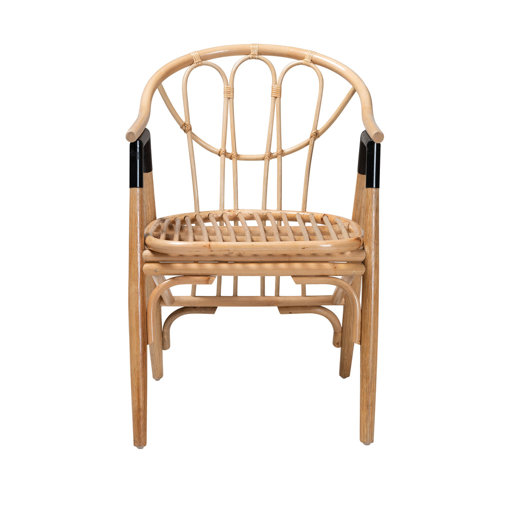 Baxton Studio bali & pari Cyntia Modern Bohemian Natural Brown Rattan Dining Chair | Dining Chairs | Modishstore - 3