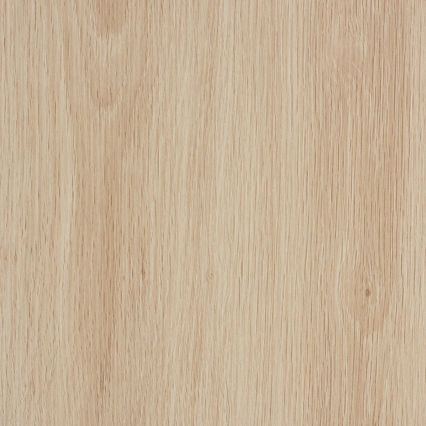 Baxton Studio Caterina Mid-Century Modern Transitional Natural Brown Finished Wood and Natural Rattan 2-Door Storage Cabinet | Cabinets | Modishstore - 8