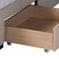 Baxton Studio Coronado Mid-Century Modern Transitional Beige Fabric Full Size 3-Drawer Storage Platform Bed | Beds | Modishstore - 8