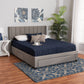 Baxton Studio Coronado Mid-Century Modern Transitional Beige Fabric Full Size 3-Drawer Storage Platform Bed | Beds | Modishstore - 11