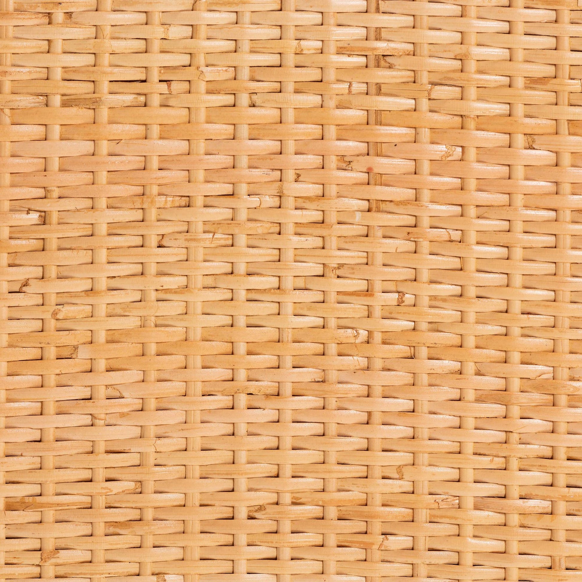 Baxton Studio bali & pari Vaere Modern Bohemian Natural Brown Rattan and Mahogany Wood Storage Cabinet | Cabinets | Modishstore - 7