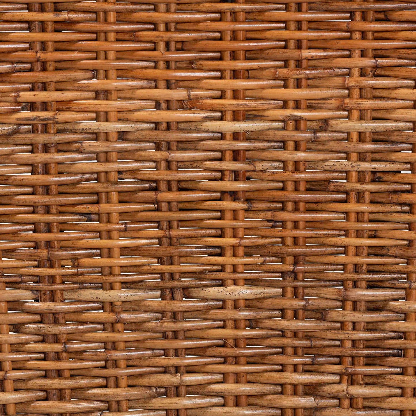 Baxton Studio bali & pari Manrico Modern Bohemian Dark Brown Finished Wood and Natural Rattan 2-Piece Dining Chair Set | Dining Chairs | Modishstore - 7