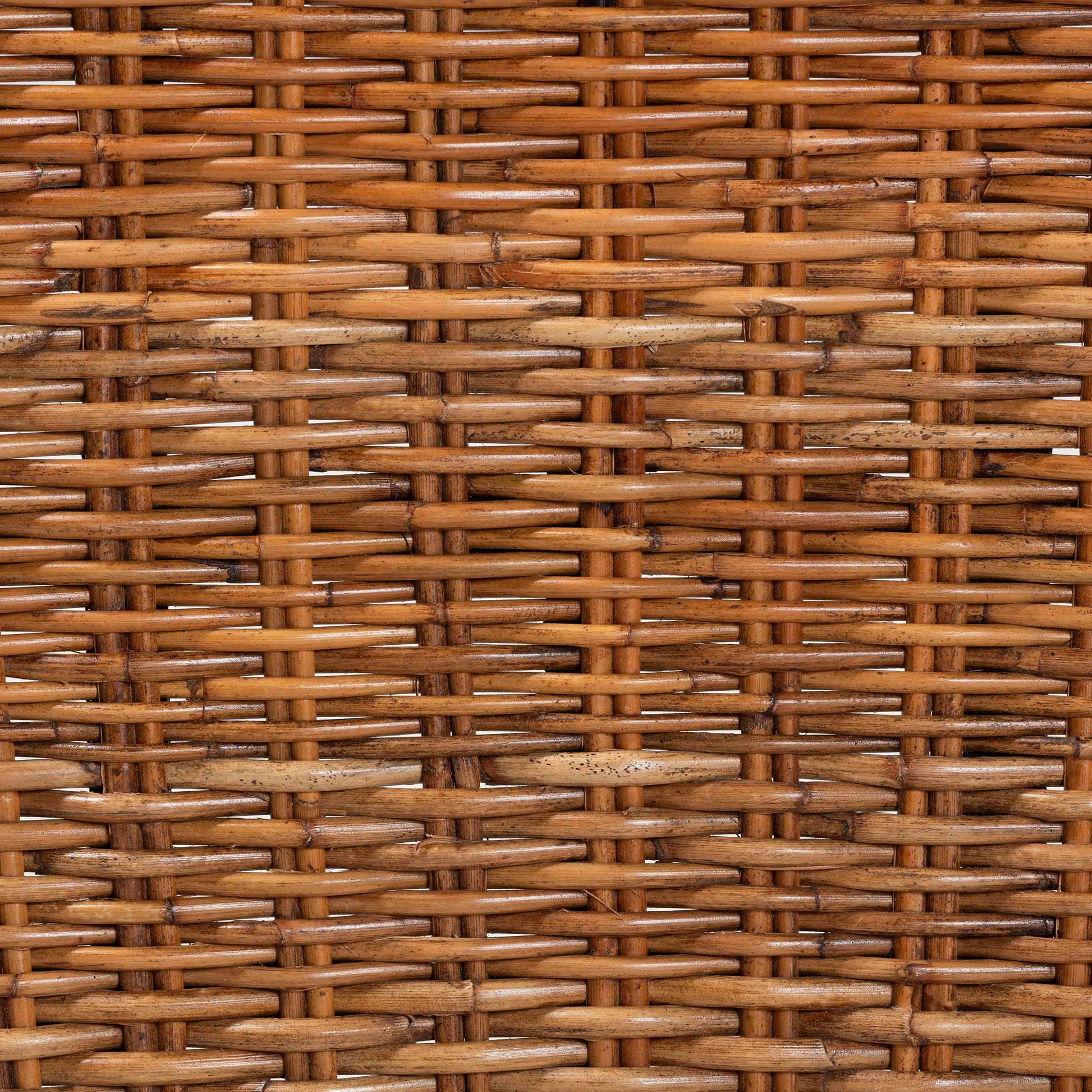 Baxton Studio bali & pari Manrico Modern Bohemian Dark Brown Finished Wood and Natural Rattan 2-Piece Dining Chair Set | Dining Chairs | Modishstore - 7