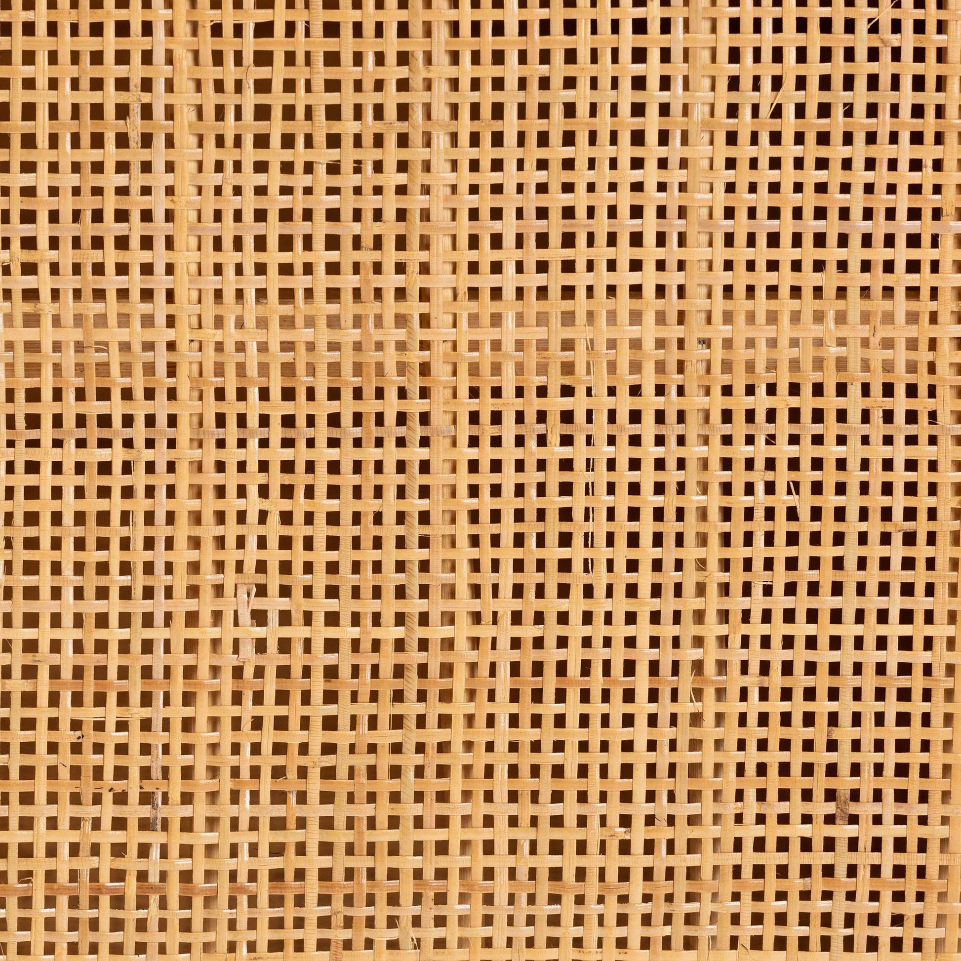 Baxton Studio bali & pari Ovalet Modern Bohemian Natural Brown Rattan 2-Door Sideboard | Cabinets | Modishstore - 10