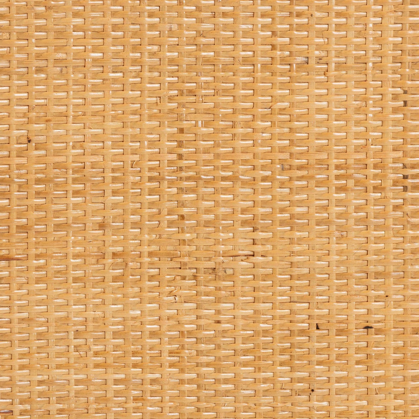 Baxton Studio bali & pari Serissa Modern Bohemian Natural Brown Rattan 2-Door Storage Cabinet | Cabinets | Modishstore - 8