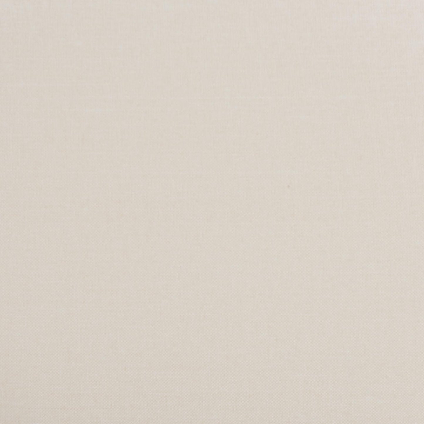 Baxton Studio Dannell Mid-Century Modern Cream Fabric and Black Finished Wood Dining Chair | Dining Chairs | Modishstore - 7