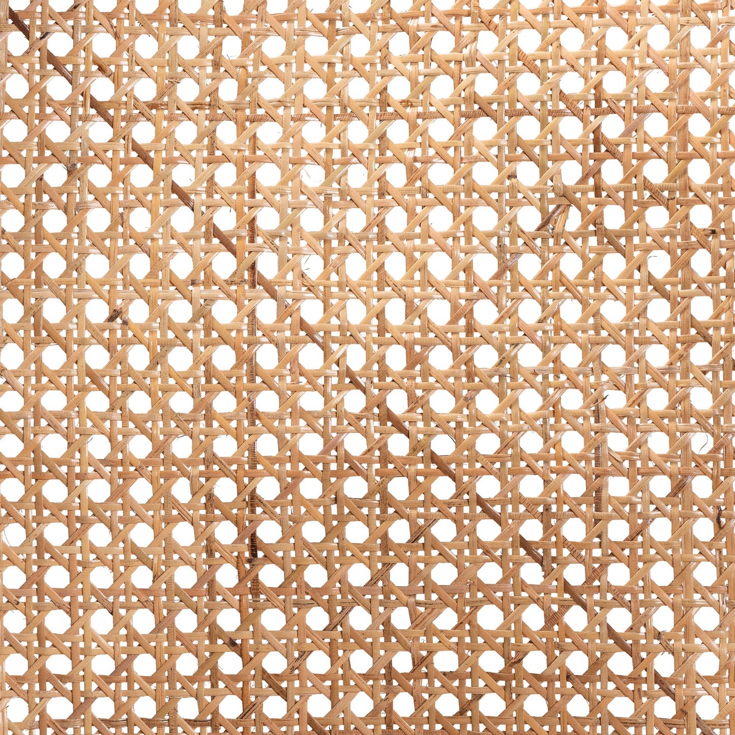 Baxton Studio bali & pari Palesa Modern Bohemian Two-Tone Black and Natural Brown Rattan Dining Chair | Dining Chairs | Modishstore - 8