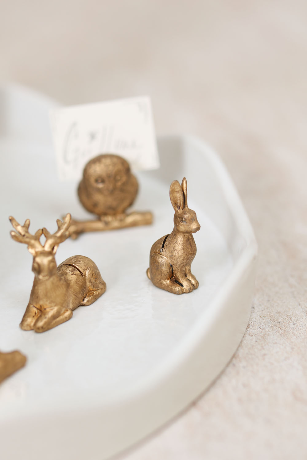 Enchanted Critter Name Card Holder Set of 8 By Accent Decor | Stands | Modishstore - 15