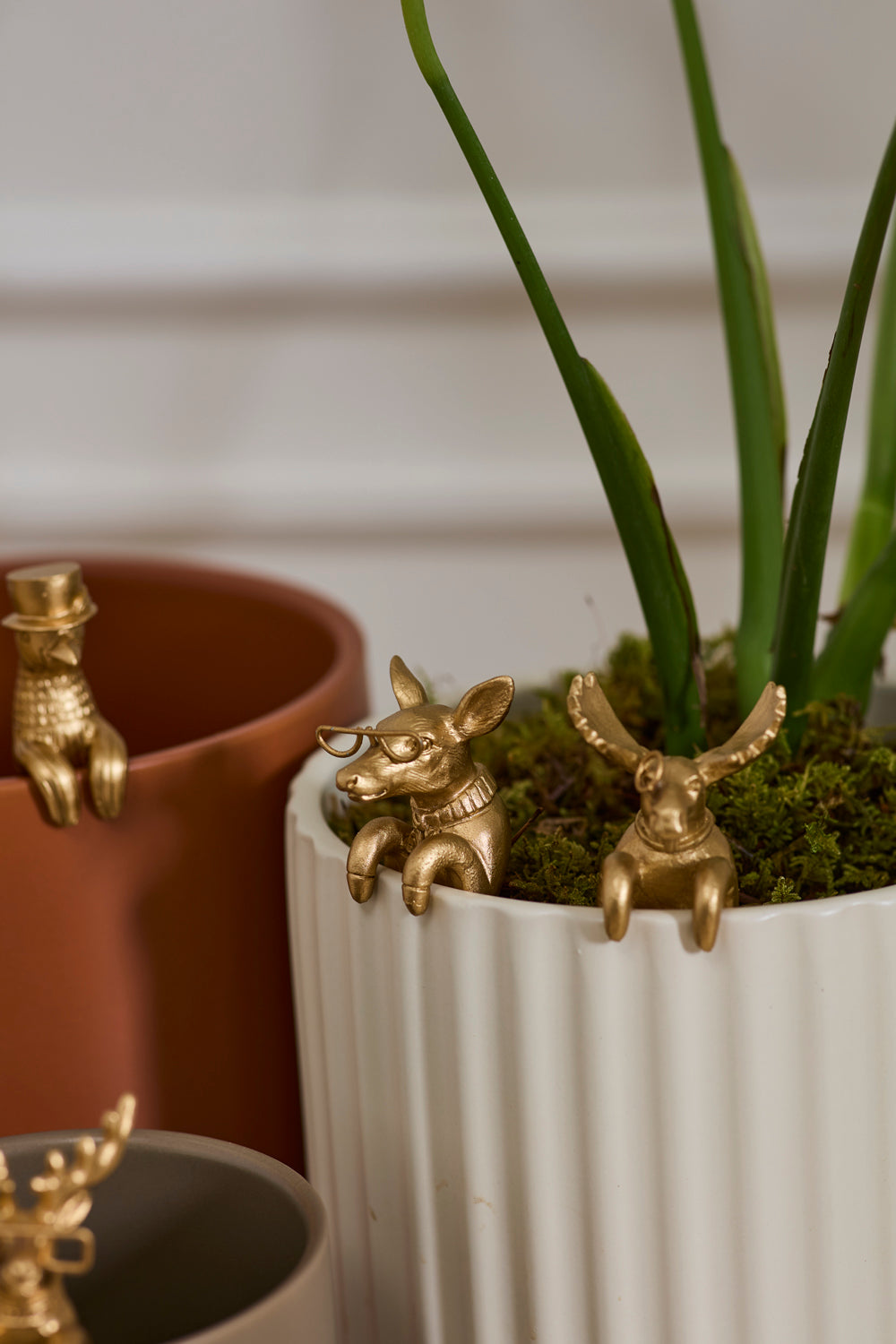 E+E Huggers - Set of 24 By Accent Decor | Planters, Troughs & Cachepots | Modishstore - 6