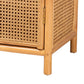 Baxton Studio bali & pari Curacao Modern Bohemian Light Honey Rattan 2-Door Storage Cabinet | Cabinets | Modishstore - 9