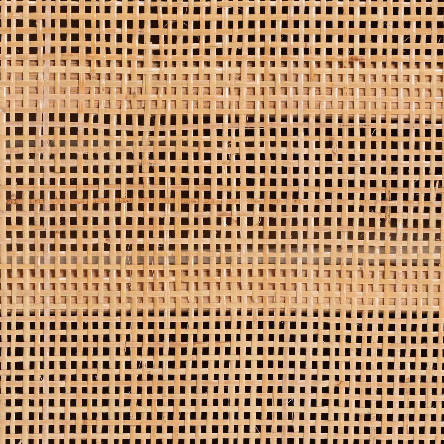 Baxton Studio bali & pari Carabella Bohemian Natural Rattan 2-Door Storage Cabinet | Cabinets | Modishstore - 8