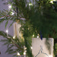 Storybook Ornament Set of 8 By Accent DŽcor