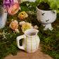 Picnic Pitcher Set of 2 By Accent Decor | Planters, Troughs & Cachepots | Modishstore - 7